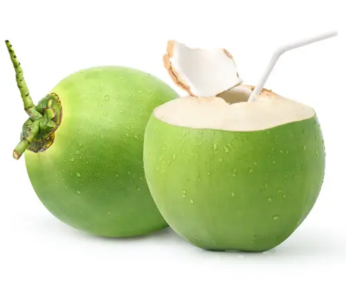Young Green Coconut
